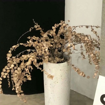 兽设梦幻风格创作福瑞交流群